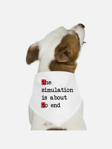 Das Ende der Simulation, Sci-Fi Matrix Humor Shirt - Hunde-Bandana - Weiß - Vorne