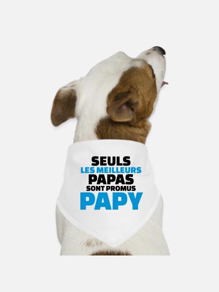 seuls les meilleurs papas sont promus papy - Bandana pour chien - blanc