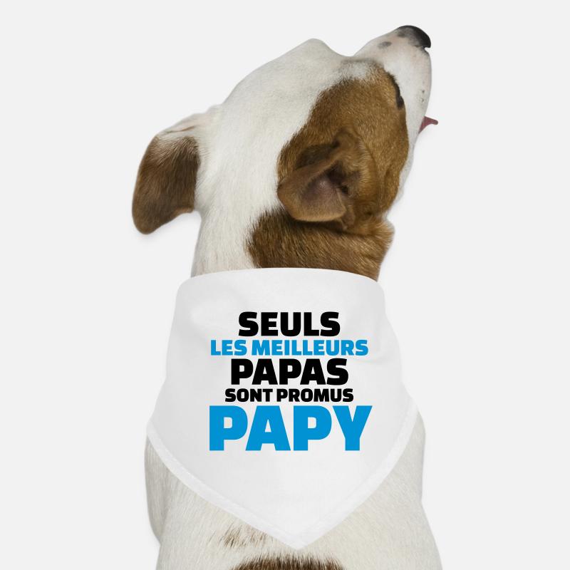 seuls les meilleurs papas sont promus papy Bandana pour chien