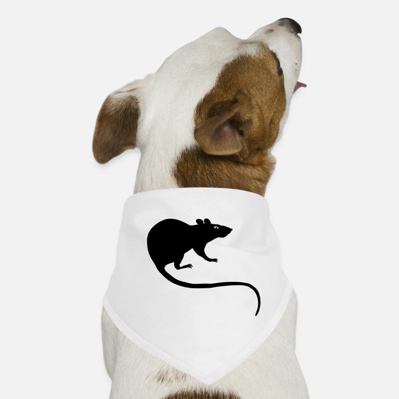 rat rats duo ratty mouse mice animal Rattus Dog Bandana