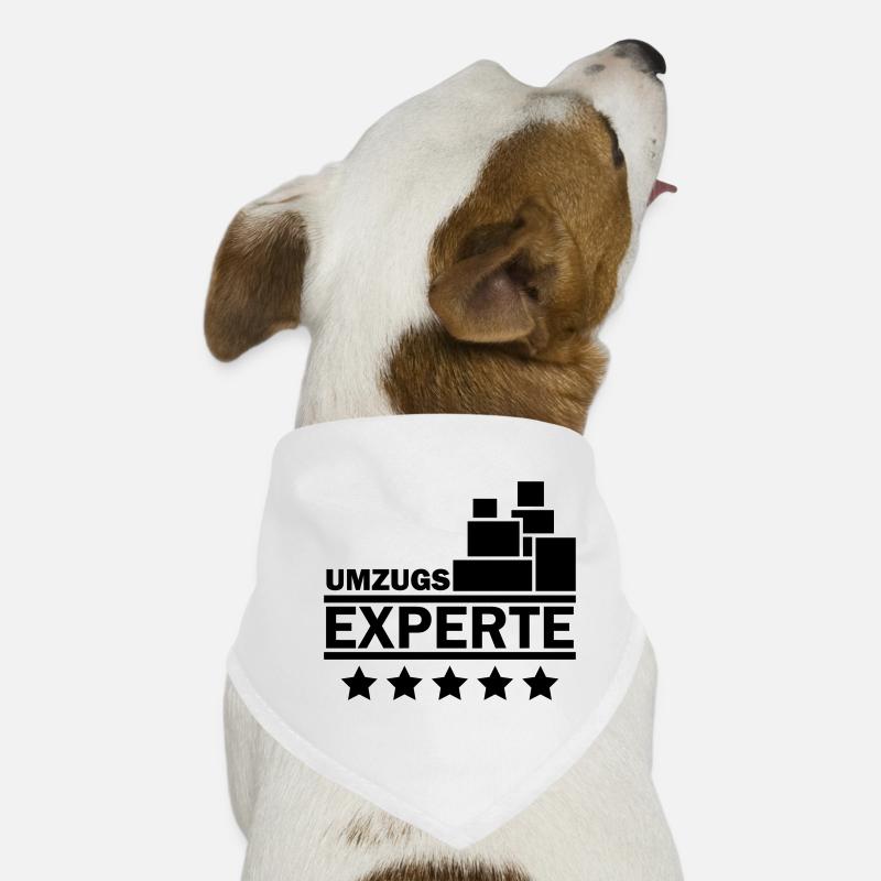 Umzugs Experte Hunde-Bandana