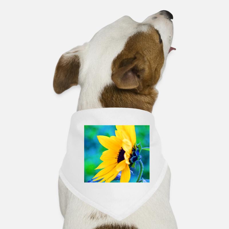 Sunflower Hunde-Bandana