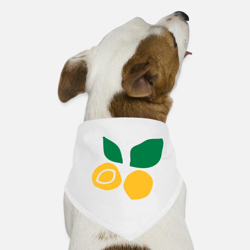 Apricot fruit c2 Dog Bandana