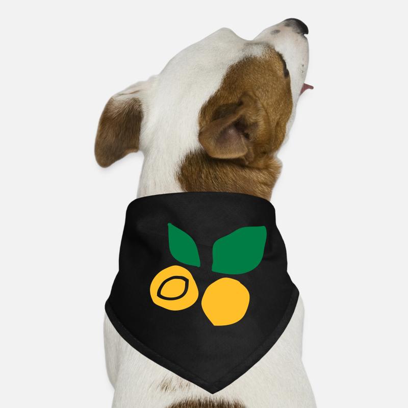 Apricot fruit c2 Dog Bandana