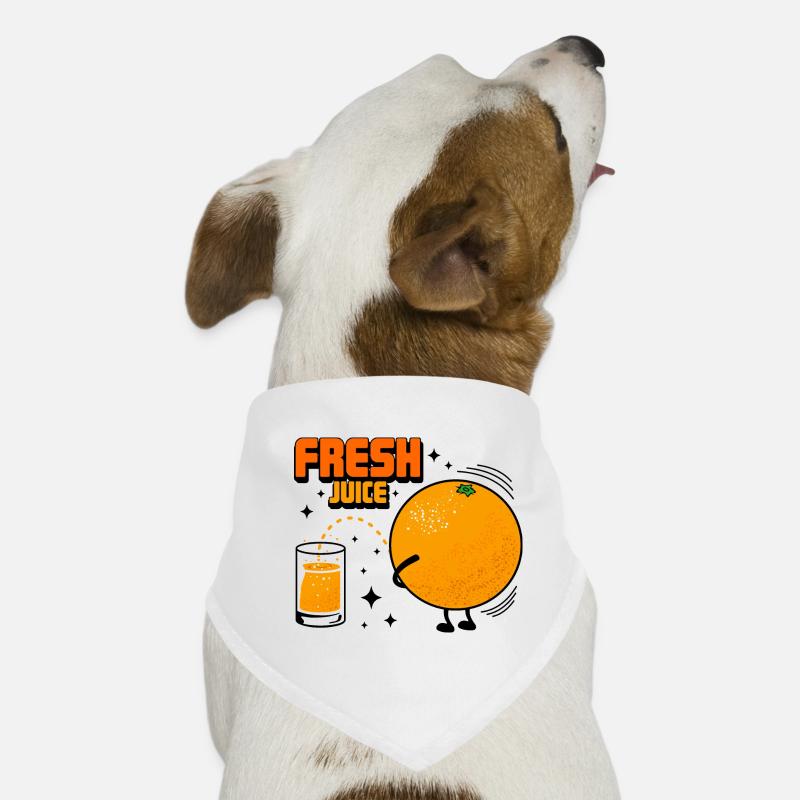Streich et orange Bandana pour chien