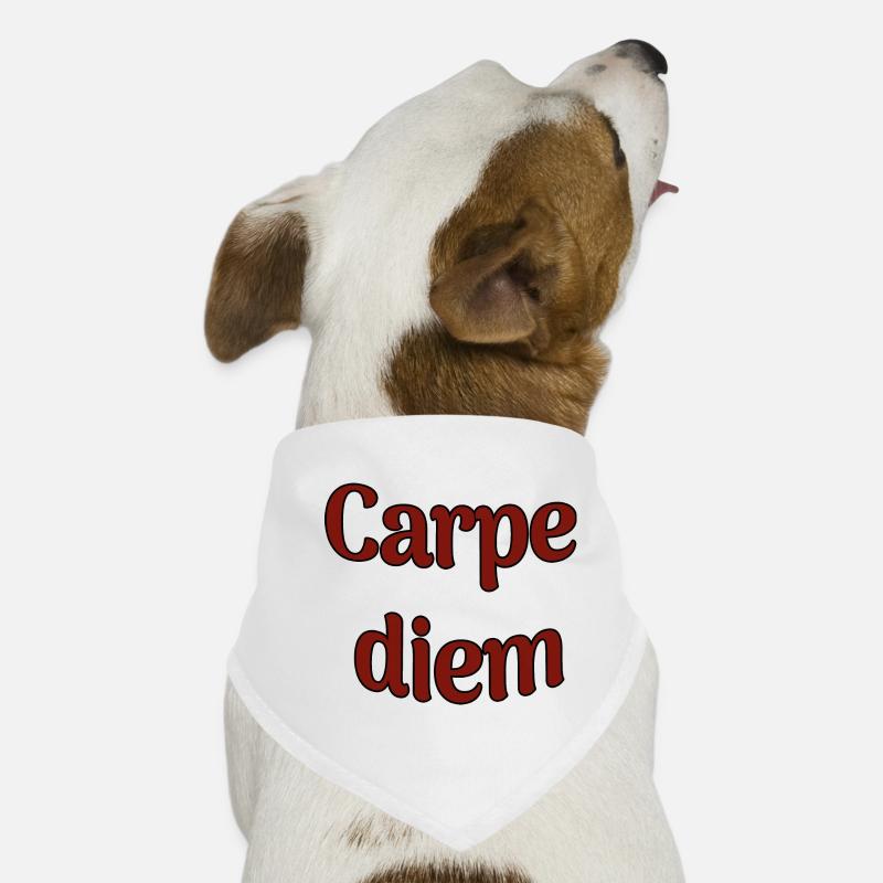 Carpe diem Hunde-Bandana