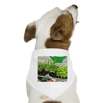 Kräuter - Hunde-Bandana - Weiß - Vorne