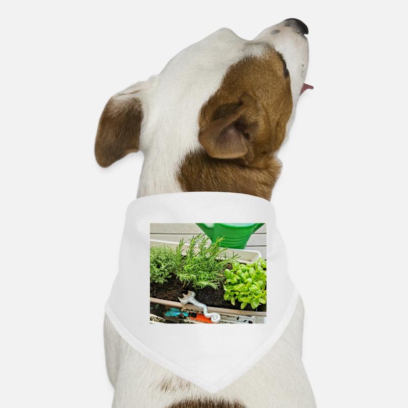 Herbs Dog Bandana
