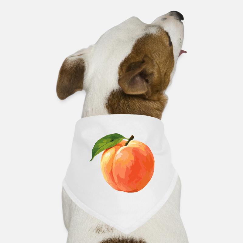 Peach Dog Bandana