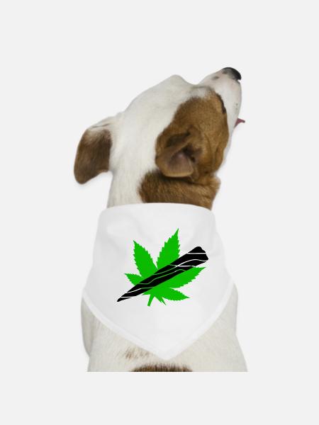 Neon Cannabisblatt Grafik - Hunde-Bandana - Weiß - Vorne
