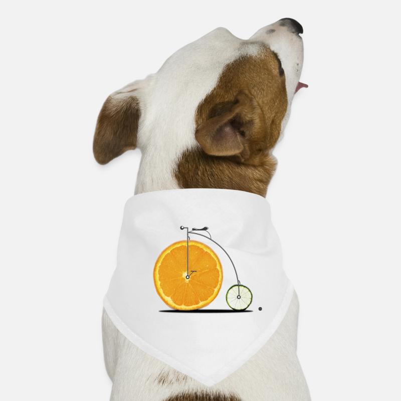Fruit Bicycle Dog Bandana