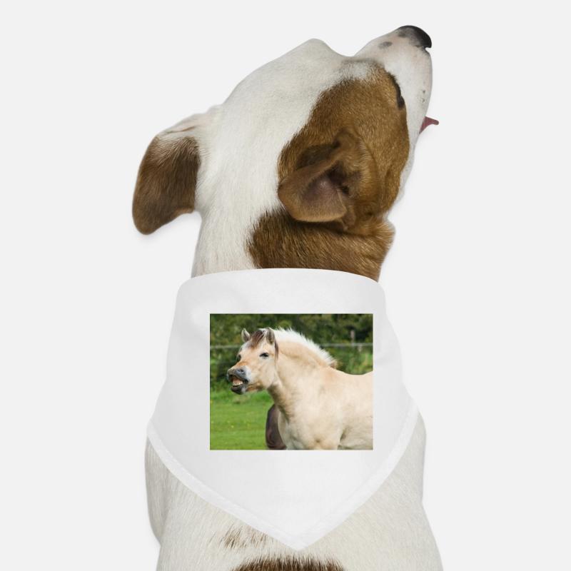 Cheval. Cheval. - Bandana pour chien - blanc