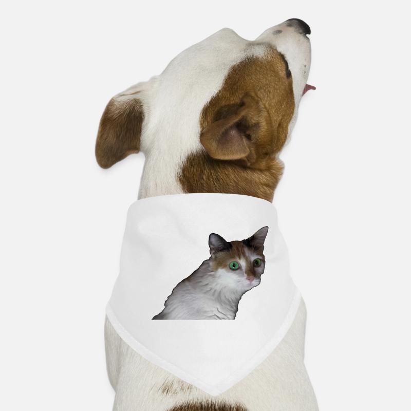 Nina the cat Dog Bandana
