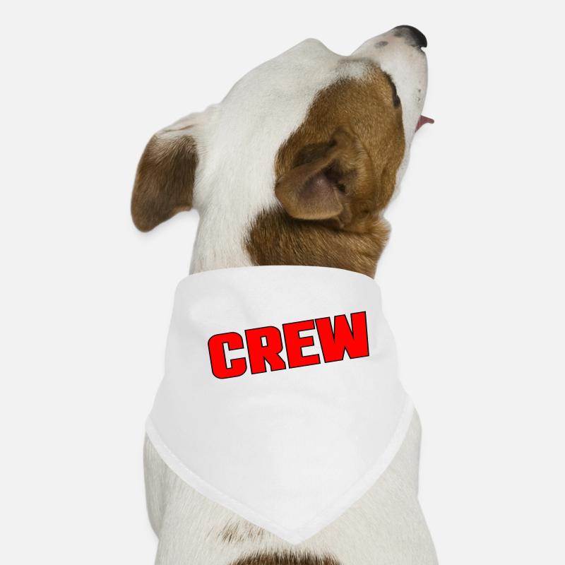 Équipage Bandana pour chien