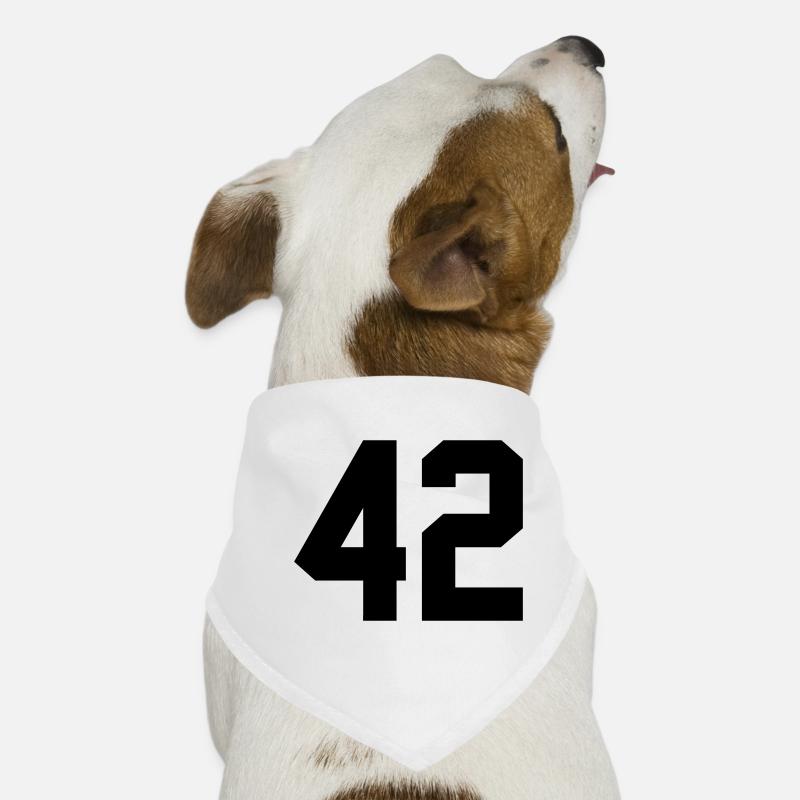 42 Bandana pour chien