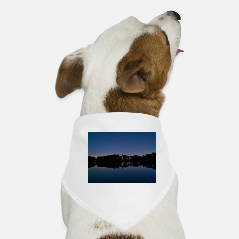 IMG 20210904 213148 Hunde-Bandana