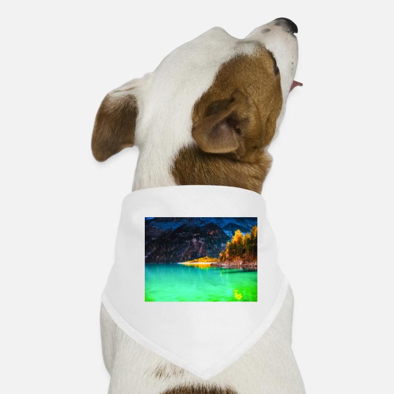 HERBST TRAUM Hunde-Bandana