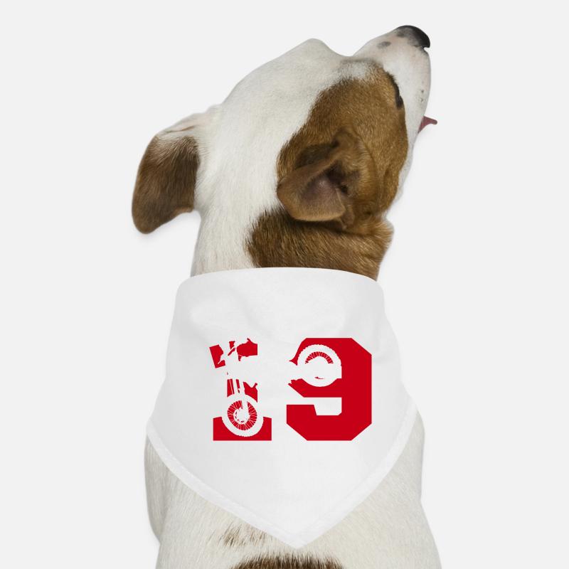 Moto 19 motard Bandana pour chien
