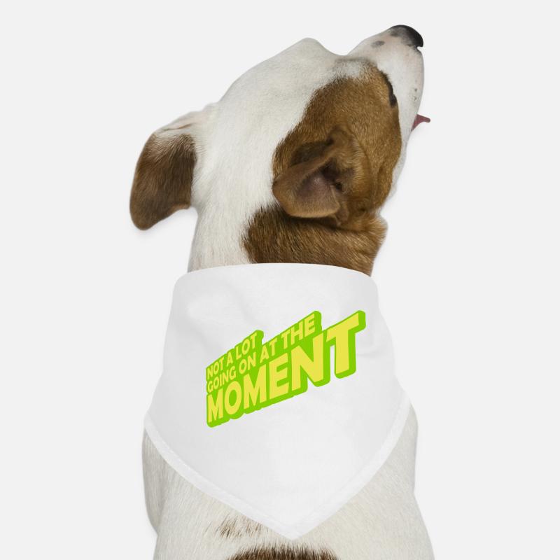 Il ne se passe pas grand-chose Bandana pour chien