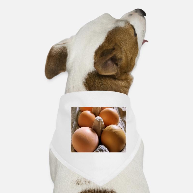 Eier - Hunde-Bandana - Weiß