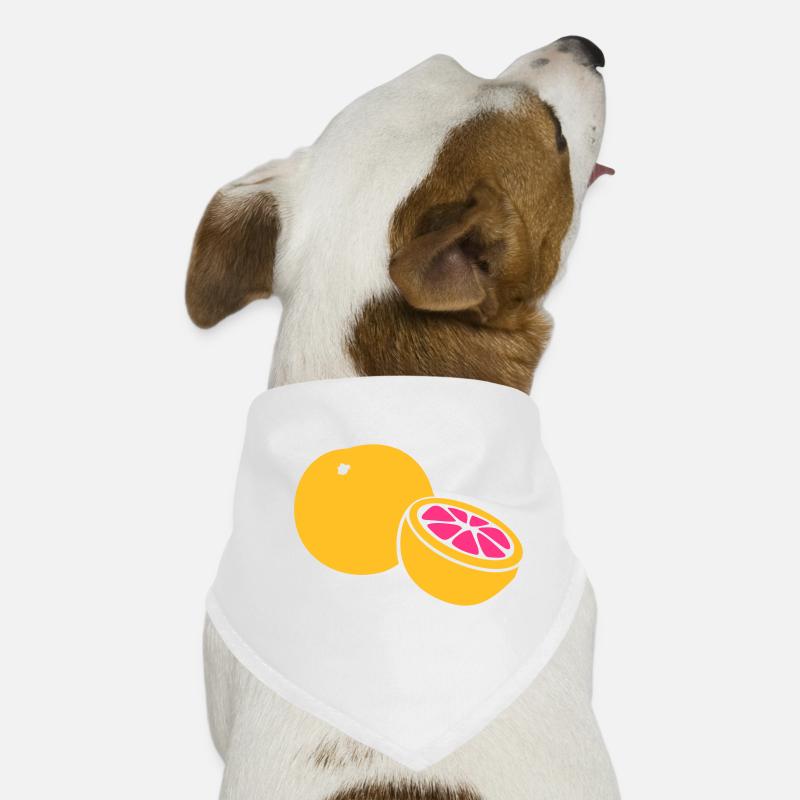 Grapefruit Hunde-Bandana