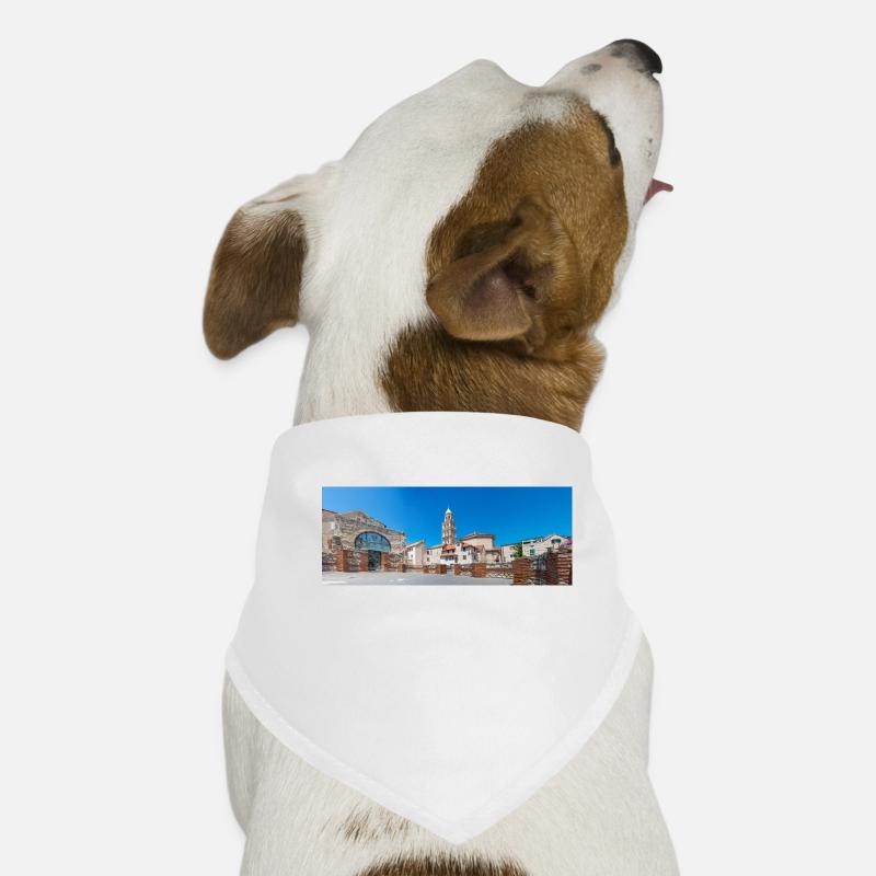 The Cathedral Saint Domnius from the Vomitorium Dog Bandana