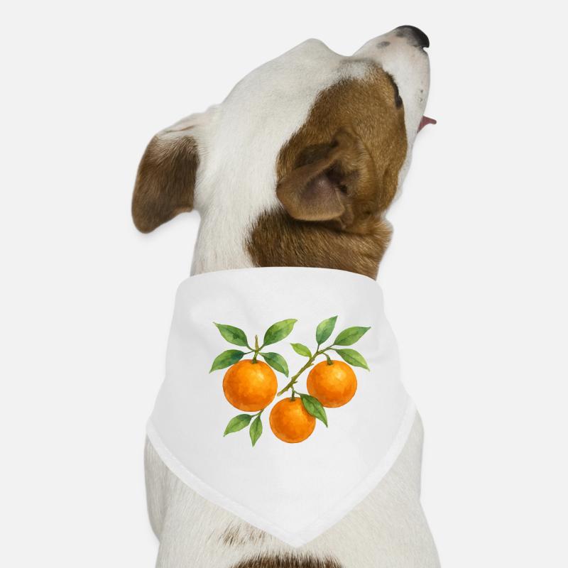 Fruchtige Orangenzweig Hunde-Bandana