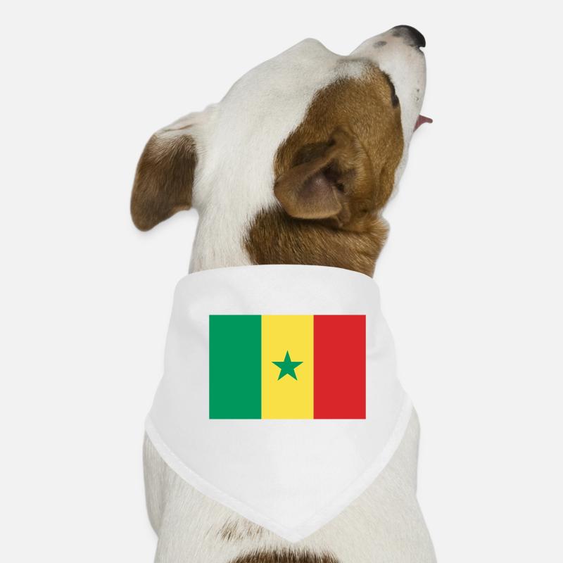 Sénégal - drapeau Bandana pour chien