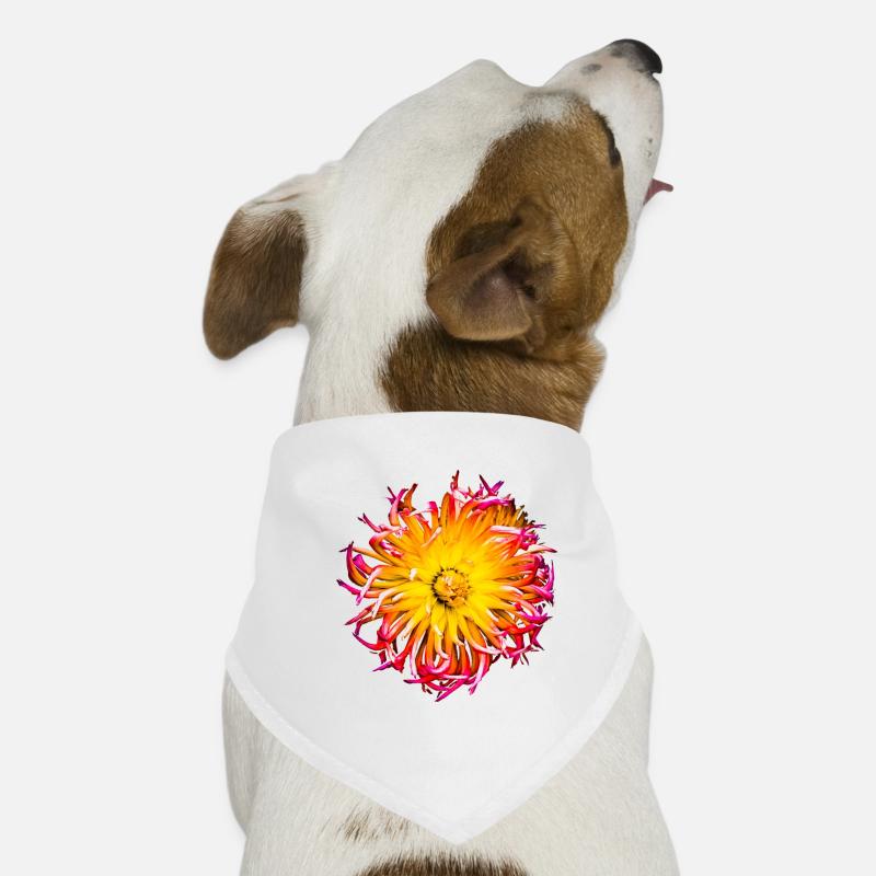 Bouquet de fleurs Bandana pour chien