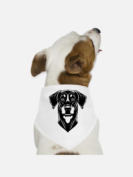 Dobermann - Hunde-Bandana - Weiß - Vorne