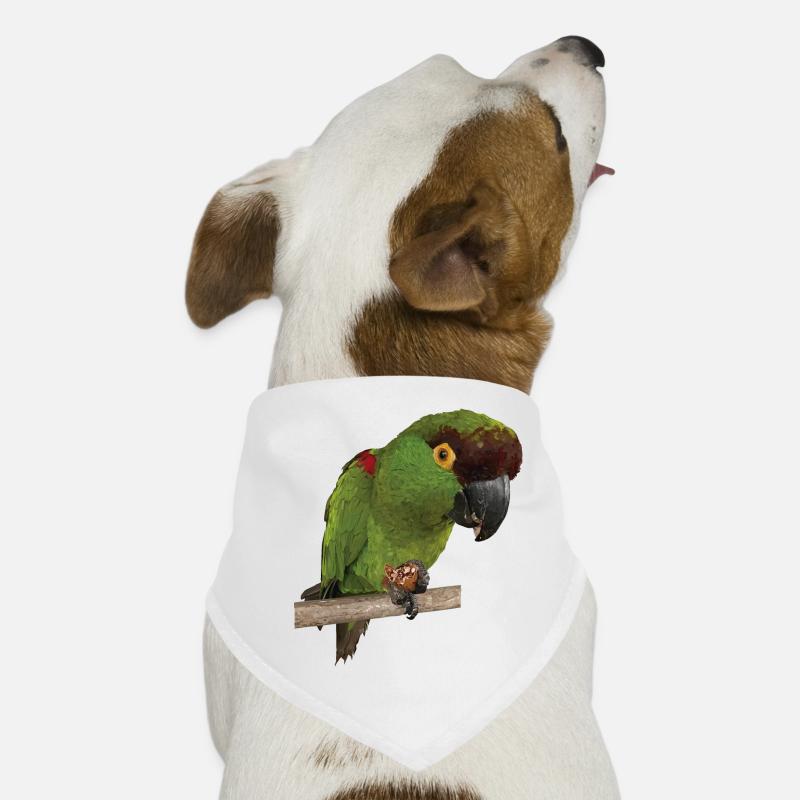 Mountain Parakeet Dog Bandana