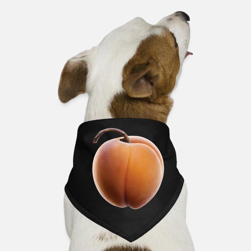 Aprikose Frucht Geschenk Hunde-Bandana