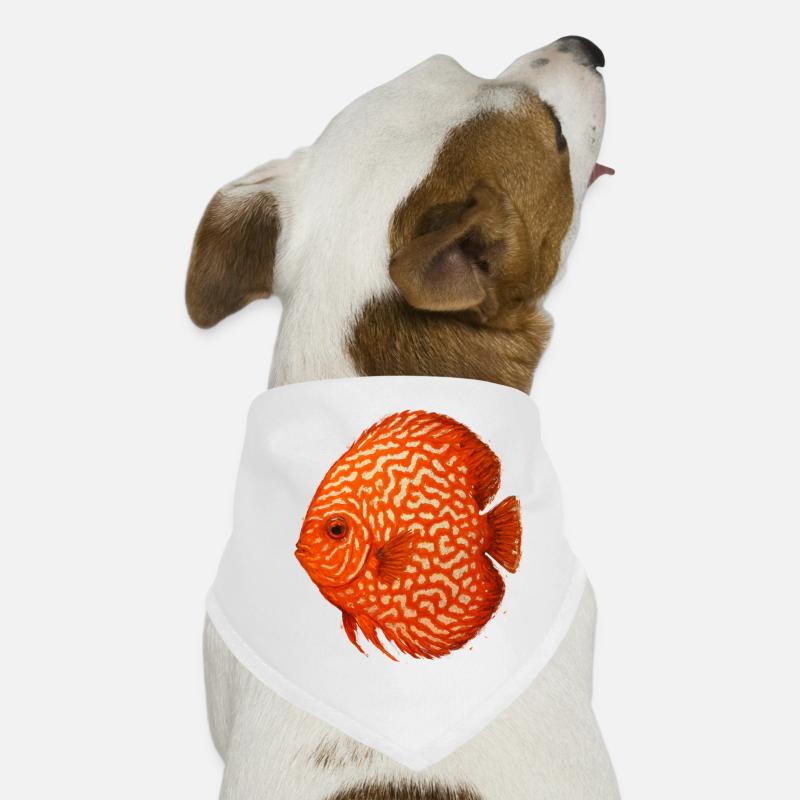 Poisson Discus Orange Aquarium Amazonie Dog Bandana