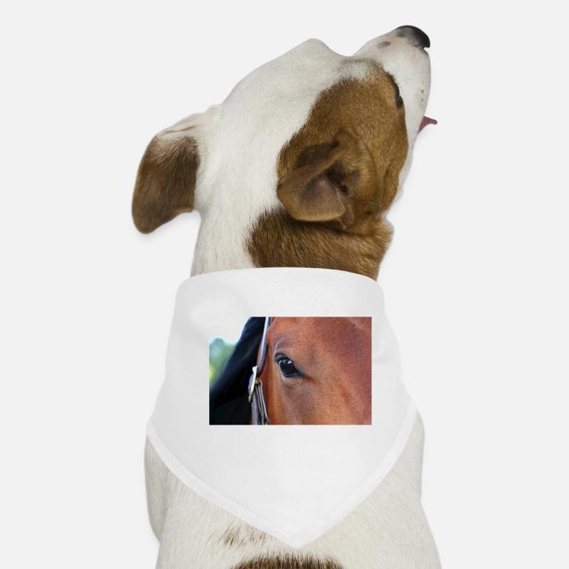 Pferdeauge Hunde-Bandana
