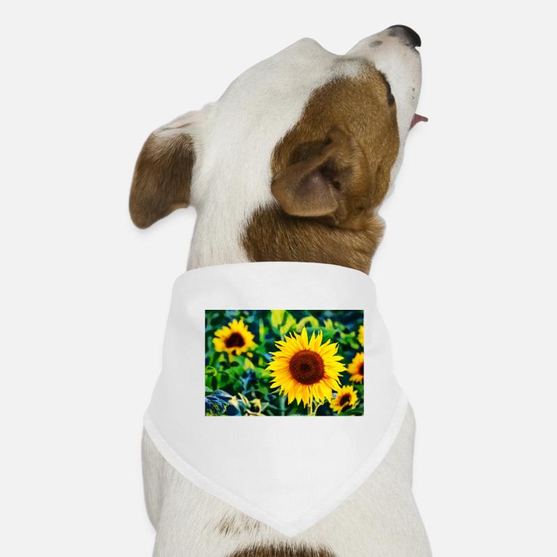 Sonnenblumen Hunde-Bandana