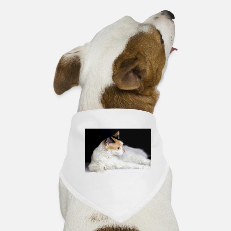 The cat Dog Bandana