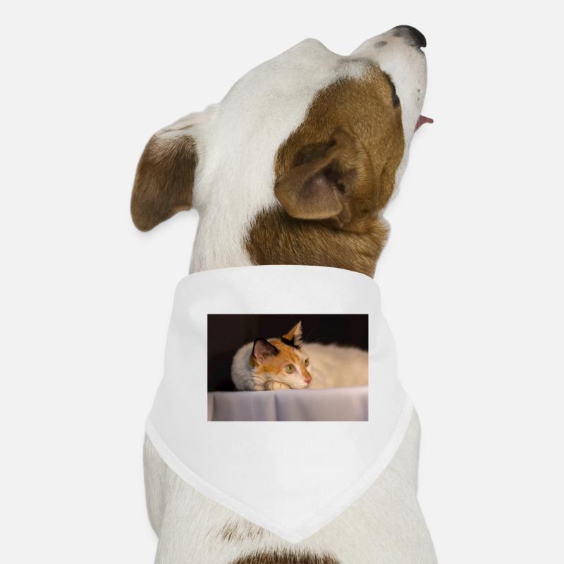 Die Katze - Hunde-Bandana - Weiß