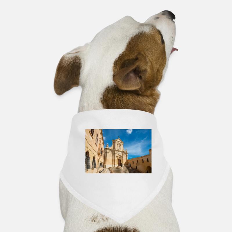 Gozo Kathedrale der Himmelfahrt Malta Hunde-Bandana