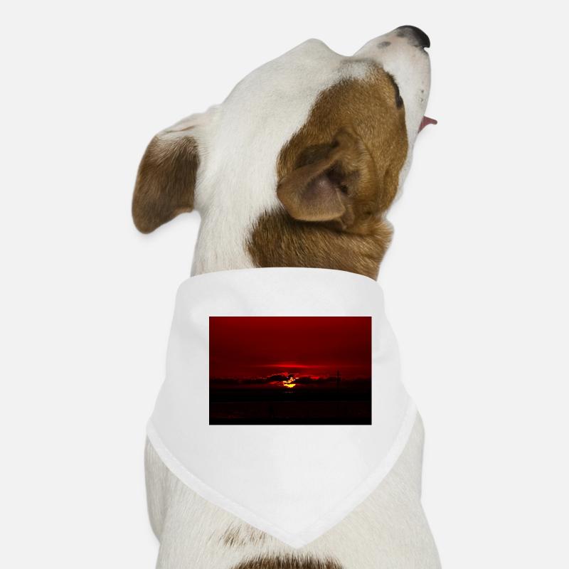 Sunset Dog Bandana