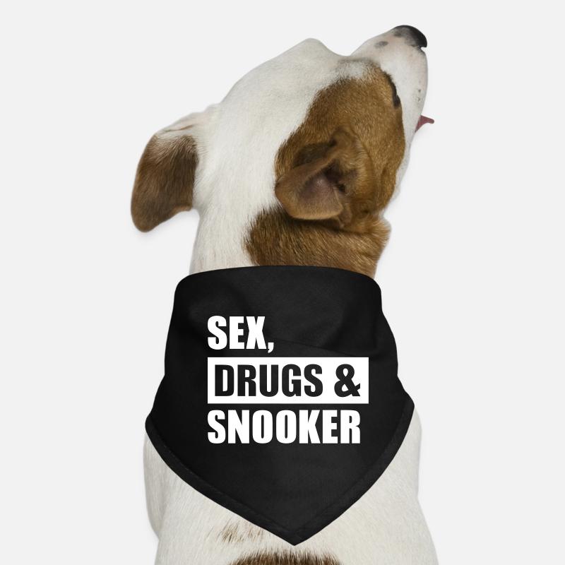 Snooker Hunde-Bandana