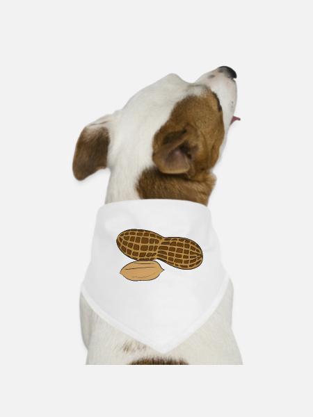 Illustration de noix d’arachide - Bandana pour chien - blanc - Devant