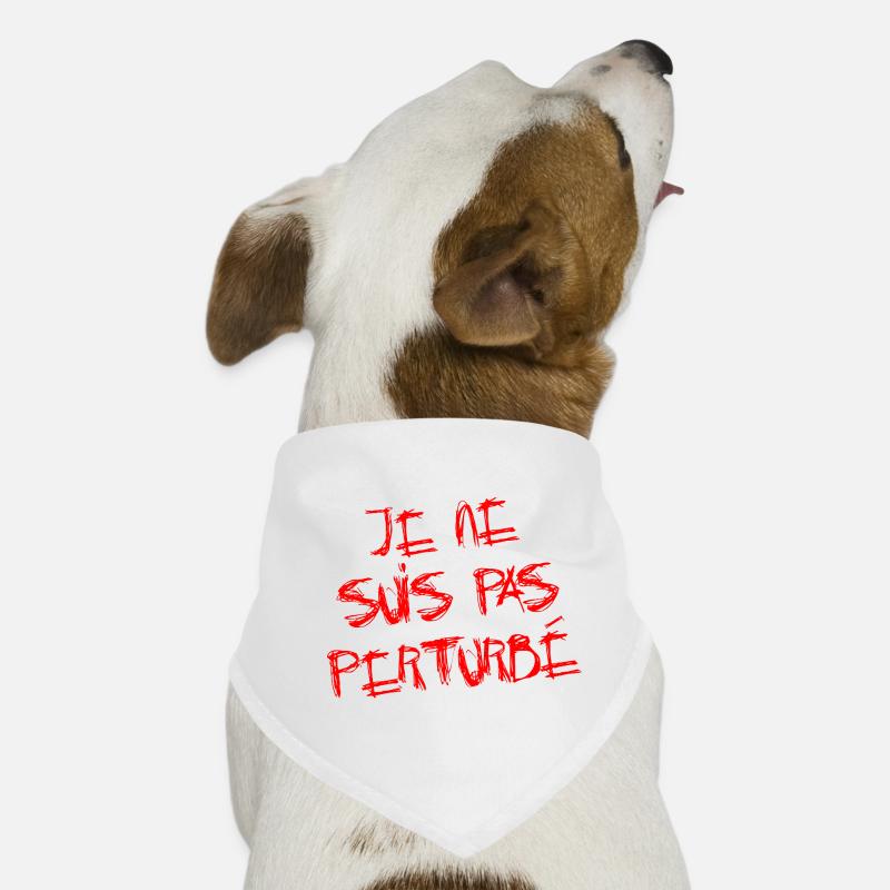 ICH BIN NICHT GESTÖRT! Hunde-Bandana