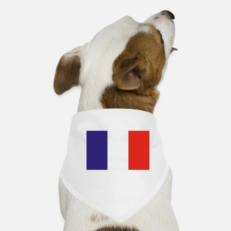 Frankreich Hunde-Bandana