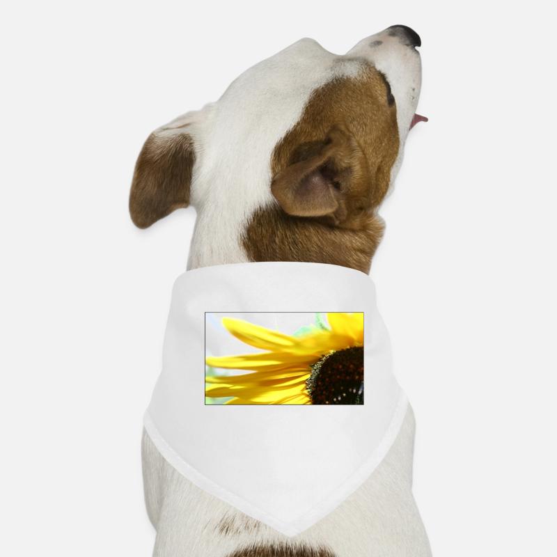 Hunde-Bandana