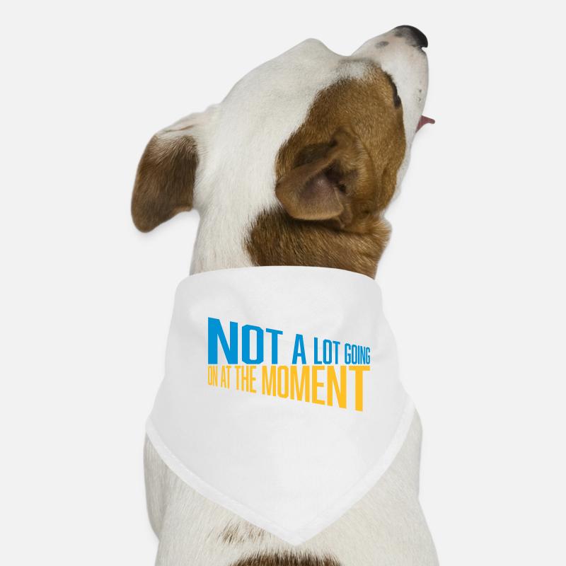 Hunde-Bandana