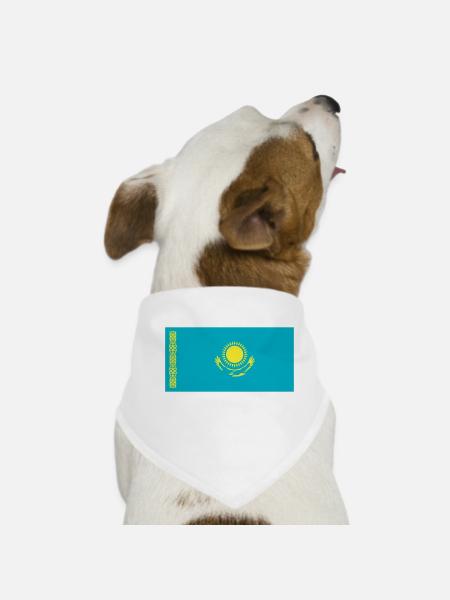 Kazakhstan Flag / Drapeau Kazakhstan - Dog Bandana - white