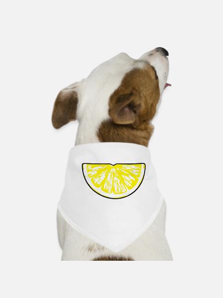 lemon_slice - Dog Bandana - white - Front