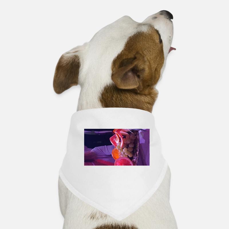 Dog Bandana