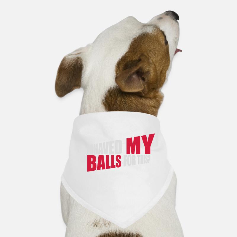 I shaved my balls Hunde-Bandana