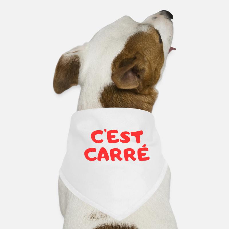C'est Carré - Bandana pour chien - blanc